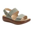 Alegria Bailee Backstrap Sandal (Women) - Woven Sage For Sale