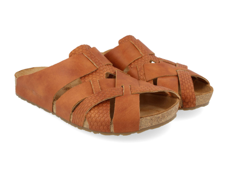 Haflinger Dana Slide Sandal (Women) - Verotrenza Safor Fashion