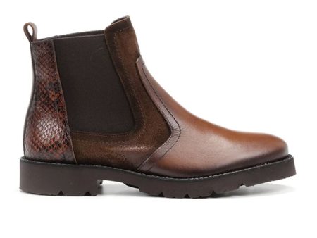 Dorking Xinia D8377 Chelsea Boot (Women) - Cognac Cheap