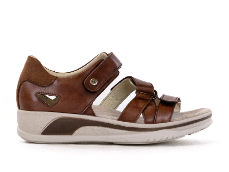 Wolky Desh Backstrap Sandal (Women) - Cognac Online Sale