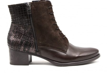 Dorking Alegria D8586 Ankle Boot (Women) - Brown Online