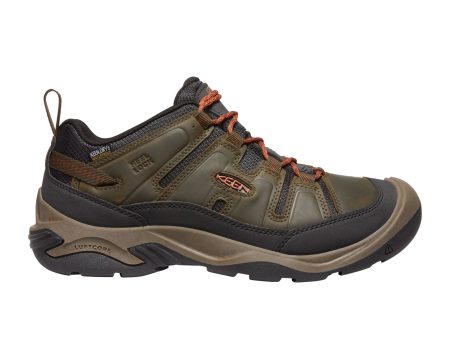 Keen Circadia Waterproof Hiking Shoe (Men) - Black Olive Potters Clay Discount