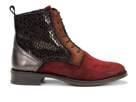 Dorking Harvard D8709 Ankle Boot (Women) - Brick Online