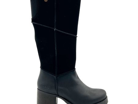 Oak & Hyde Kensington Hi Tall Boot (Women) - Black Supply